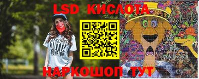 стаф Кинель