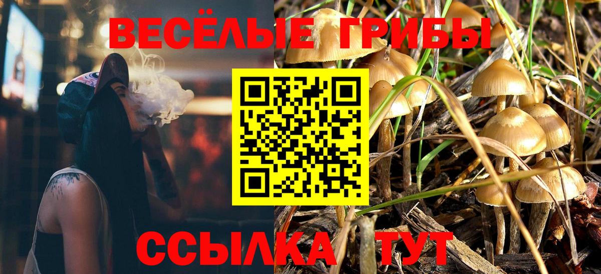Галлюциногенные грибы MAGIC MUSHROOMS Кинель